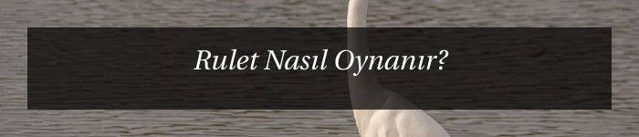 Rulet Nasıl Oynanır?