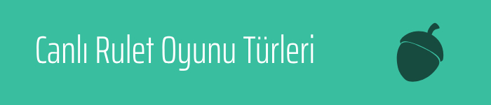 Rulet Oyun Türleri